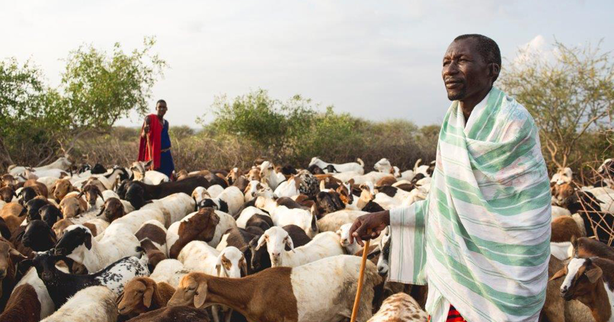 Rural Life in Kenya - Pastoral | Smithsonian Folklife Festival