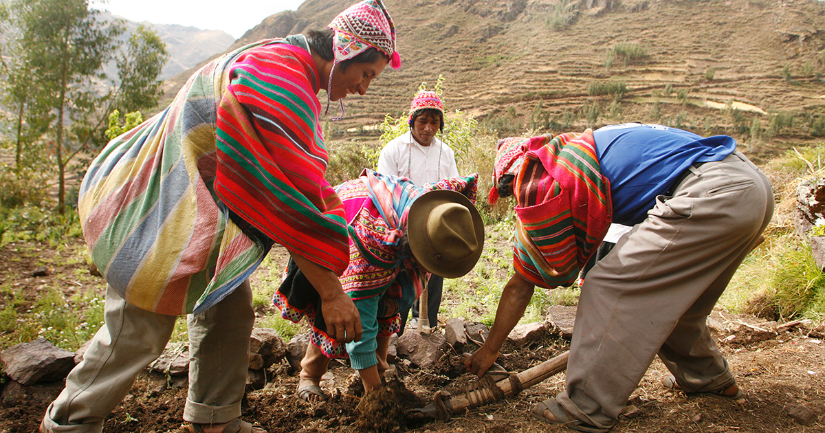 traditional-farming-smithsonian-folklife-festival